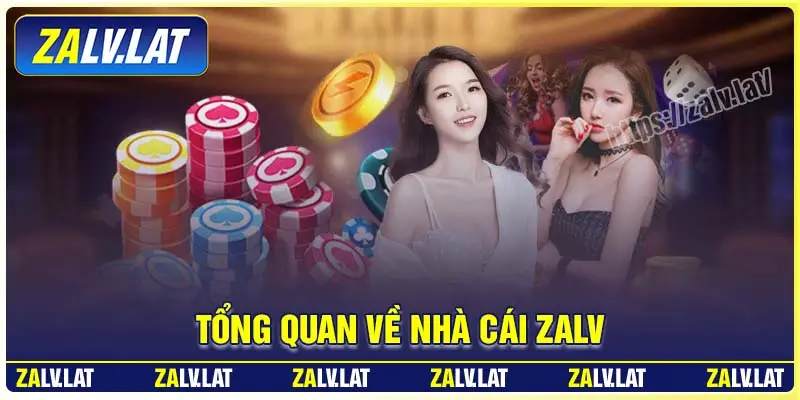 Zalv - Zalv Com | Khuyến Mãi Tân Thủ 188kZalv - Zalv Com | Khuyến Mãi Tân Thủ 188k